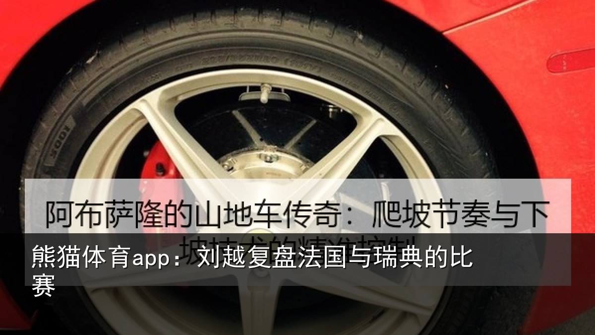 熊猫体育app：刘越复盘法国与瑞典的比赛