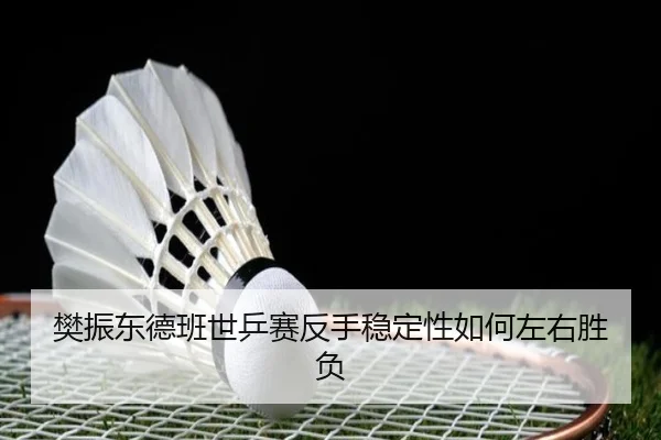 fan-zhen-dong-de-ban-shi-ping-sai-fan-shou-wen-ding-xing-ru-he-zuo-you-sheng-fu-3-797.jpg