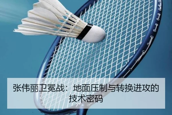 张伟丽卫冕战：地面压制与转换进攻的技术密码