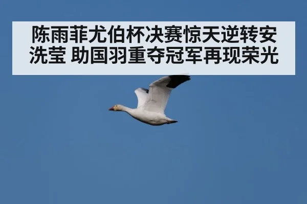 Chen Yufei celebration