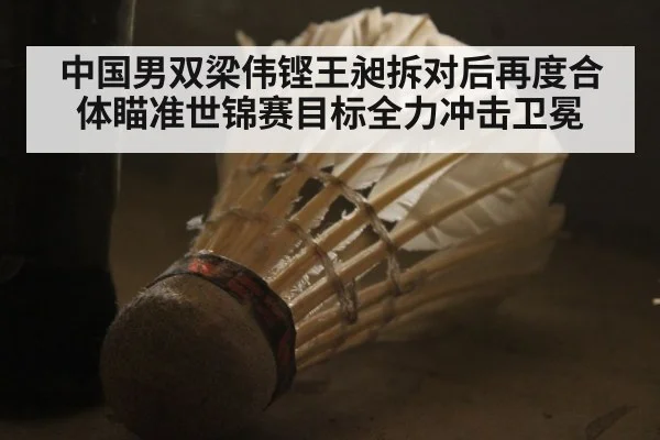 中国男双梁伟铿王昶拆对后再度合体瞄准世锦赛目标全力冲击卫冕