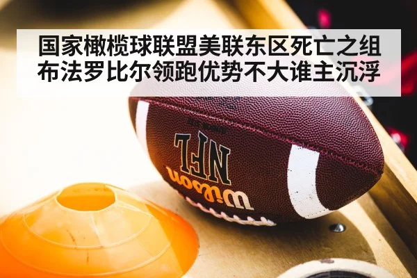 国家橄榄球联盟美联东区死亡之组布法罗比尔领跑优势不大谁主沉浮